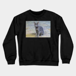 alley cat Crewneck Sweatshirt